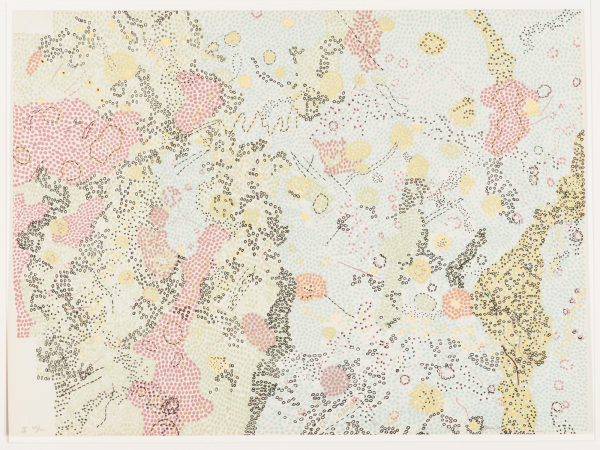 Sabine DM Region of the Moon