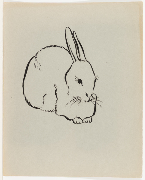 Three Quarter View of Rabbit
