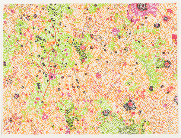 Riphaeus Mountains Region of the Moon