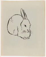 Three Quarter View of Rabbit