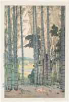 Bamboo Wood